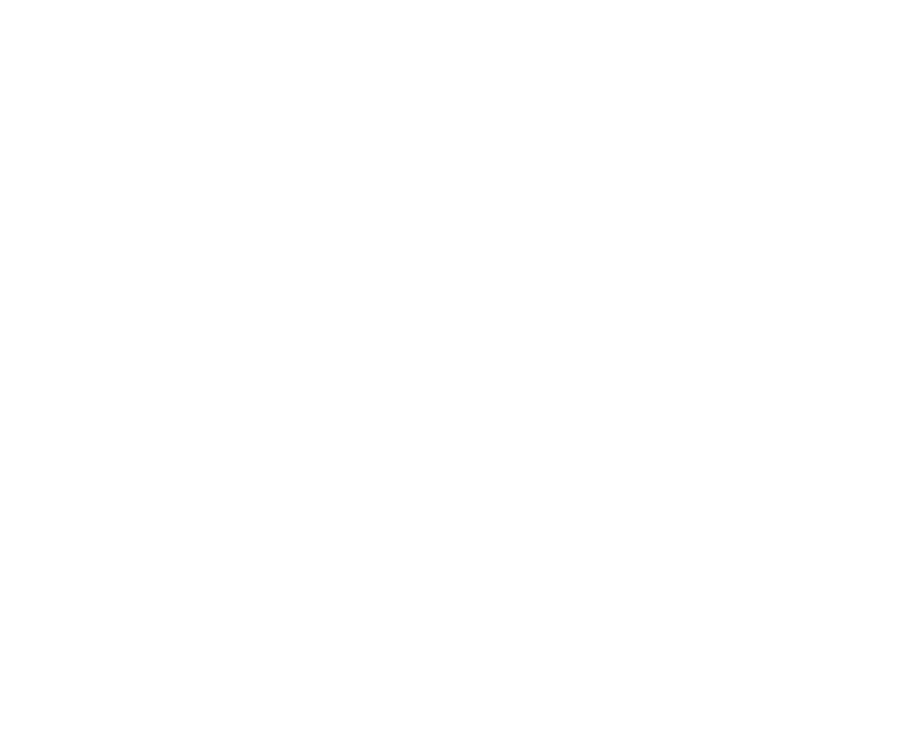 Ibex Digital Solutions